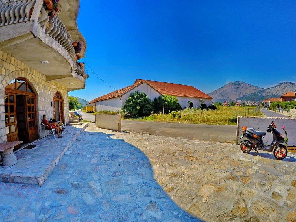 Kosjerina Trebinje